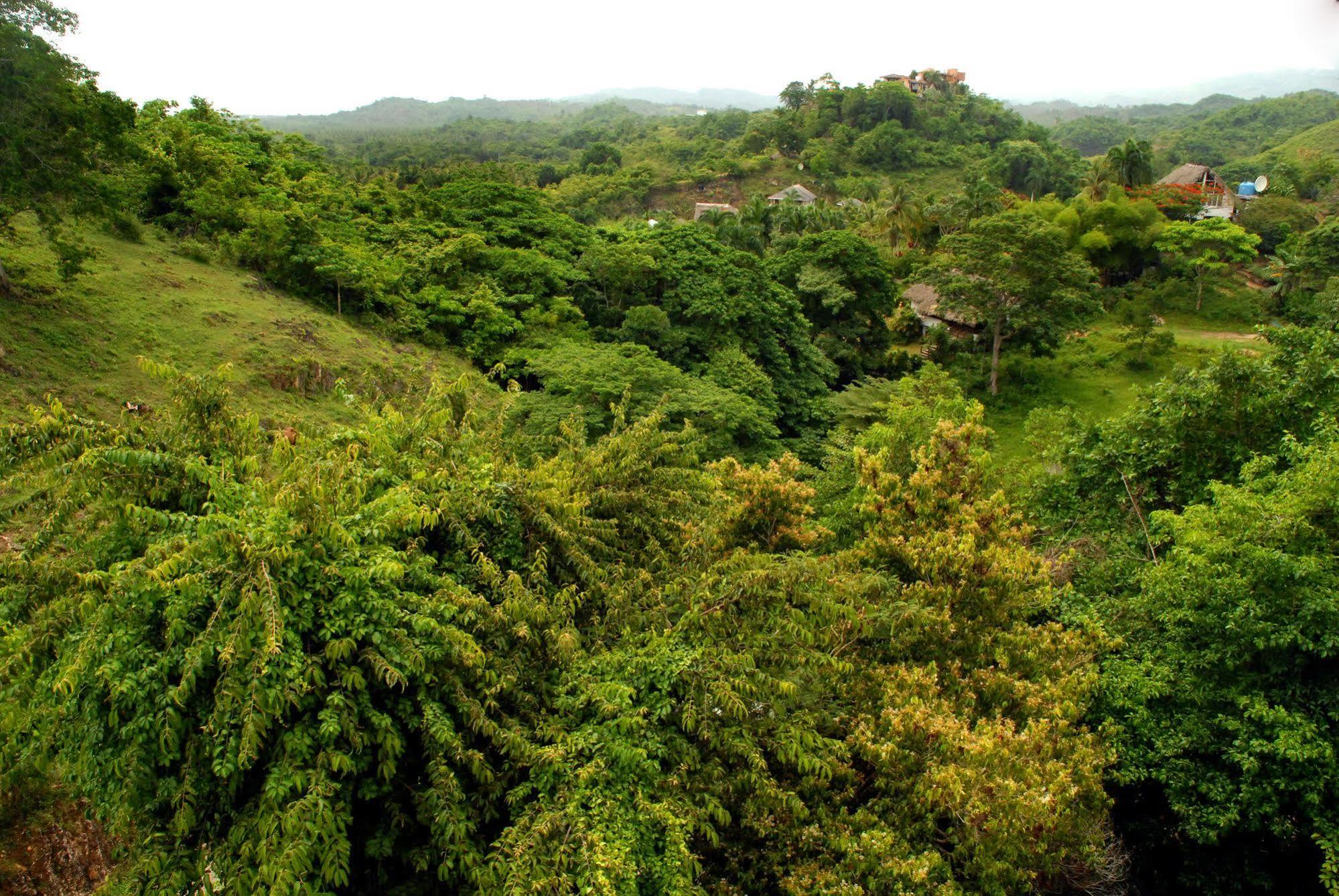 Clave Verde Ecolodge Las Terrenas Extérieur photo
