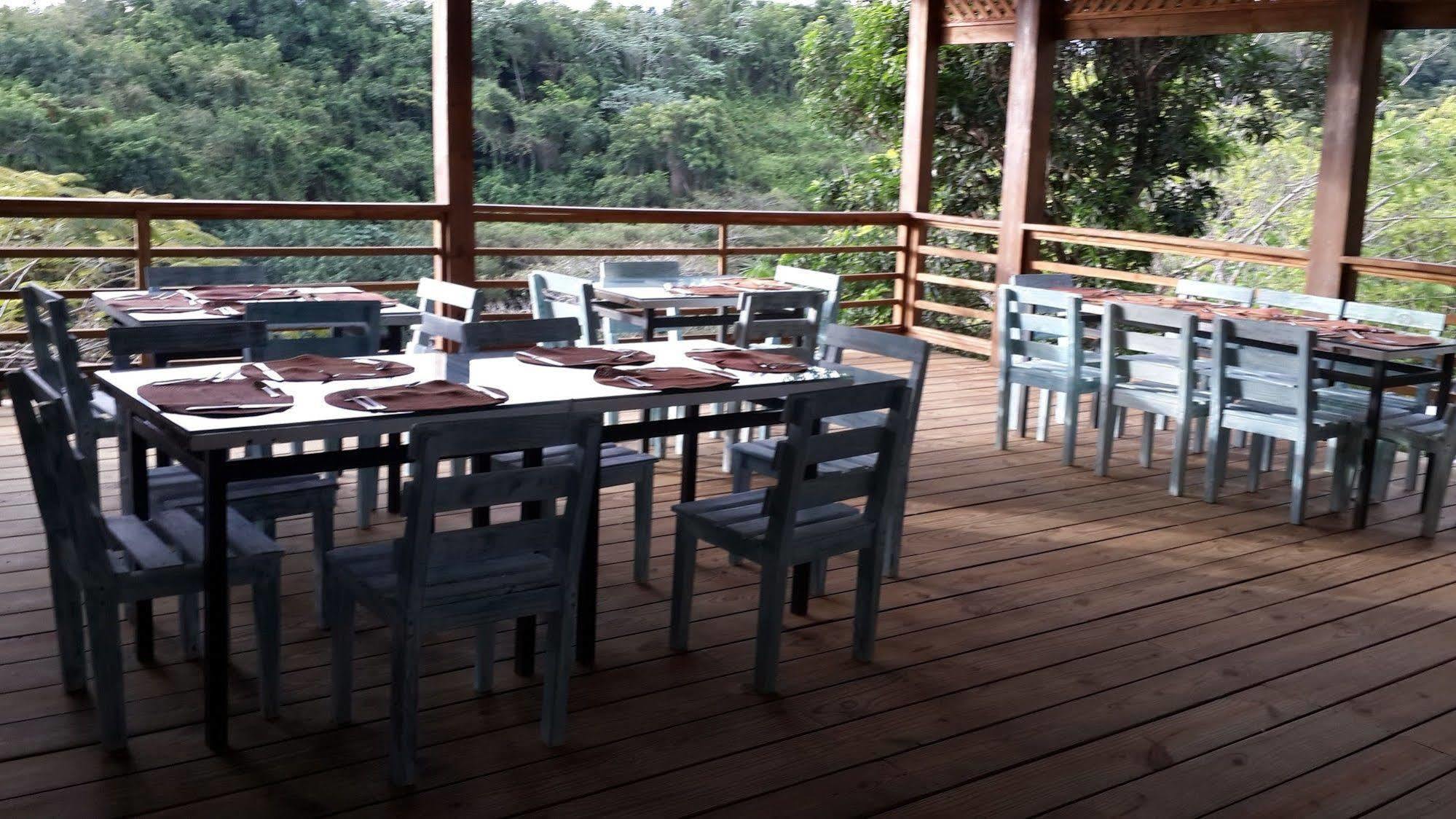 Clave Verde Ecolodge Las Terrenas Extérieur photo
