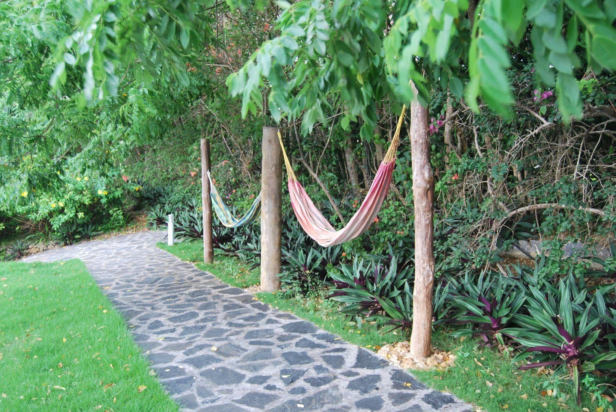 Clave Verde Ecolodge Las Terrenas Extérieur photo